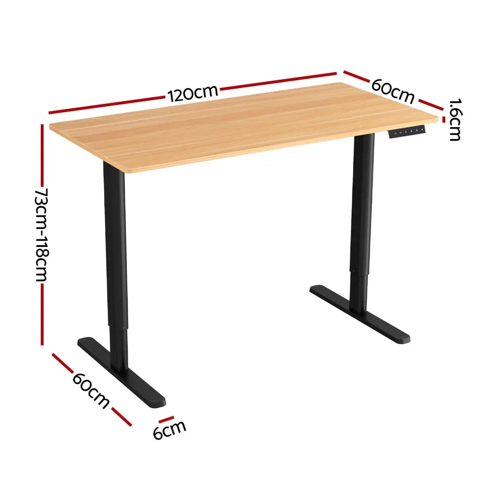 Electric Standing Desk 120cm - Motorised Sit Stand Desk for Home Office