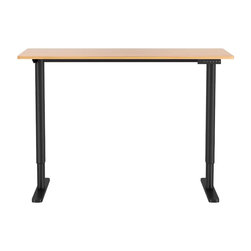 Electric Standing Desk 120cm - Motorised Sit Stand Desk for Home Office