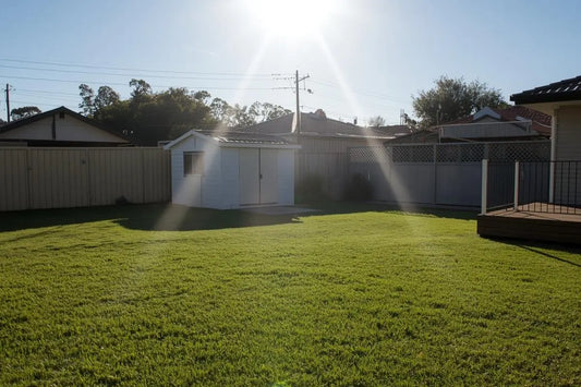 Guide to protecting your garden shed this summer - What not to store and where to store items that are in there - 2026