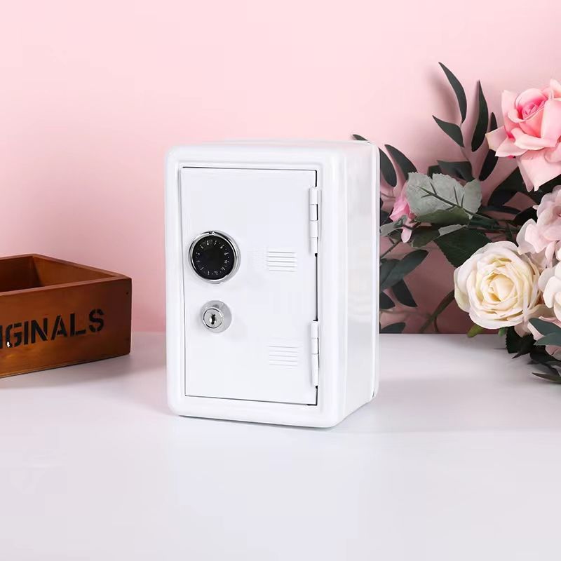Mini Metal Safe Box – Compact White Safe with Key & Combo Lock ...